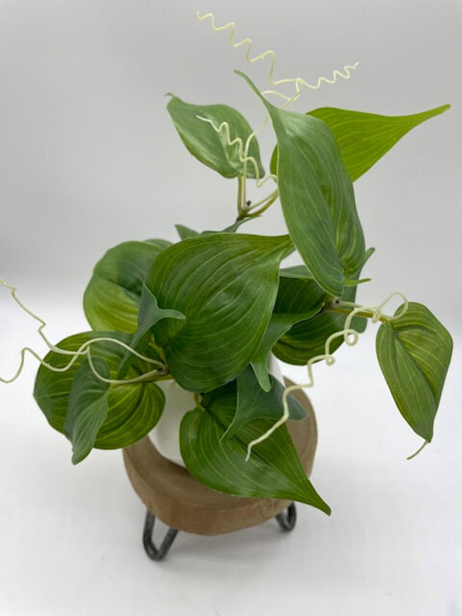 realistic looking faux plant with vivid green leaves in hear shape in small ceramic white pot