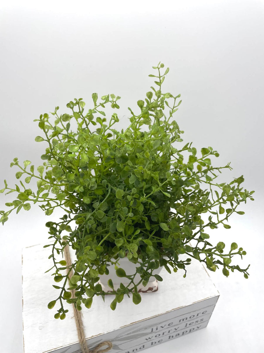 view from top Small vivid green realistic Fake Plant in Square Ceramic Pot