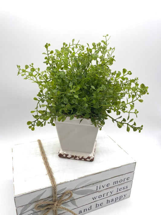 Small vivid green realistic Fake Plant in Square Ceramic Pot