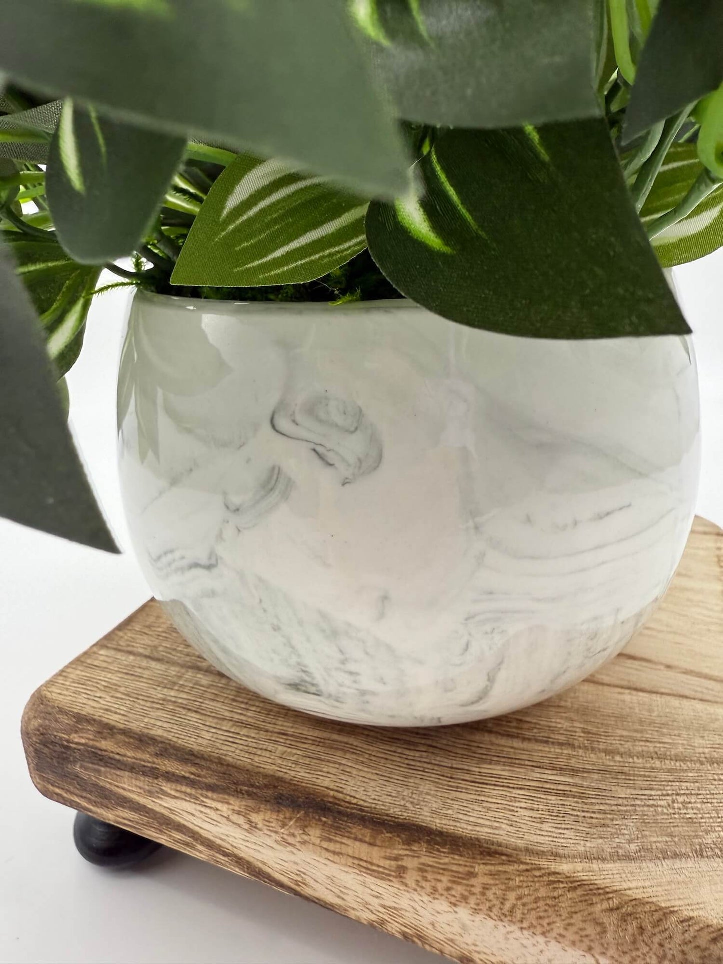 green plant with white stripes in elegant ceramic marble-like pot in white stripes