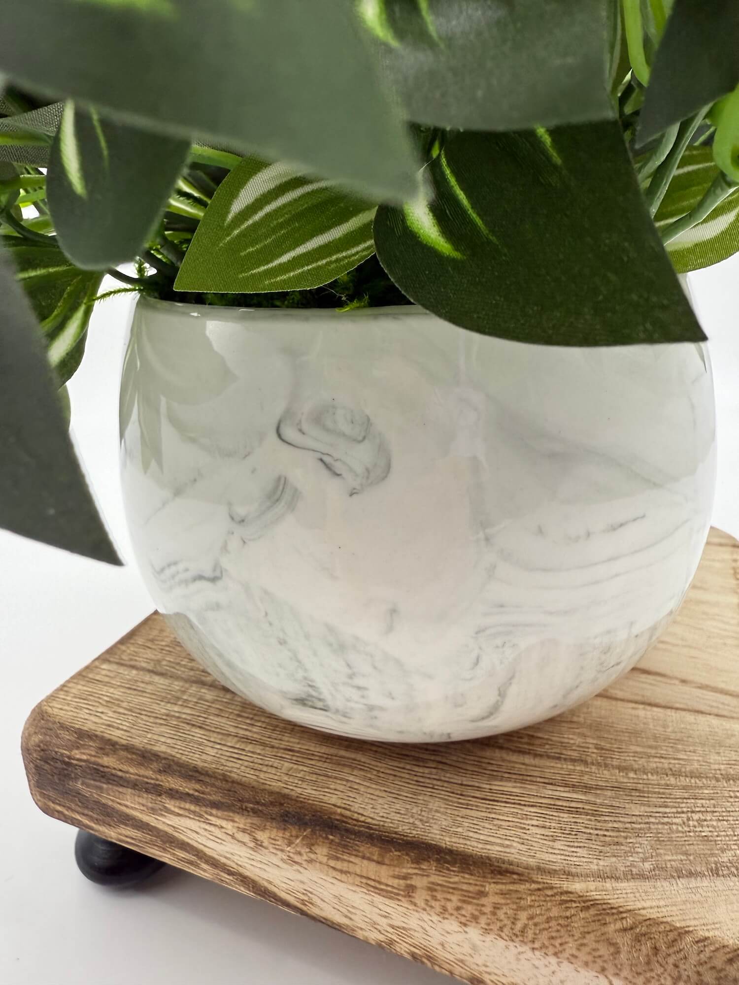 green plant with white stripes in elegant ceramic marble-like pot in white stripes