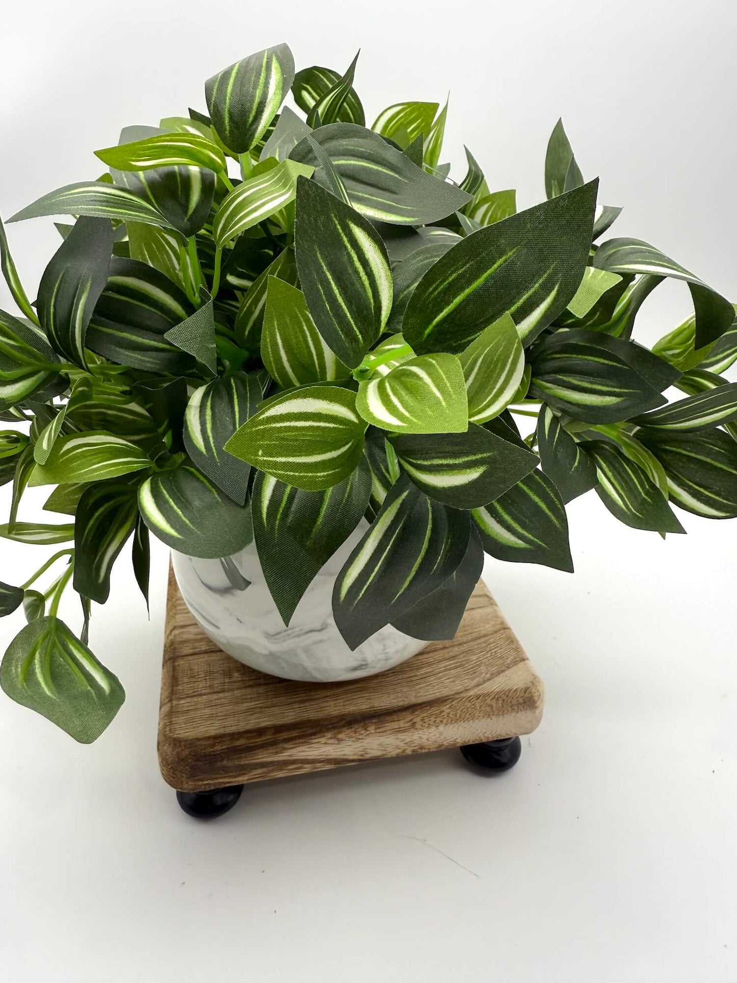 realistic looking green plant with white stripes on leaves in ceramic pot in marble-like style in white and gray