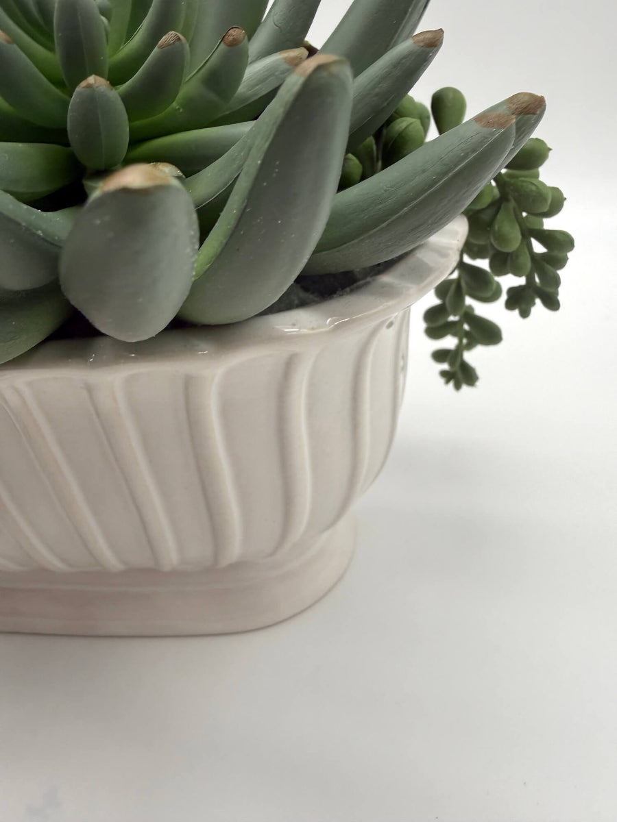 close up for white ceramic vase for succulent arrangement