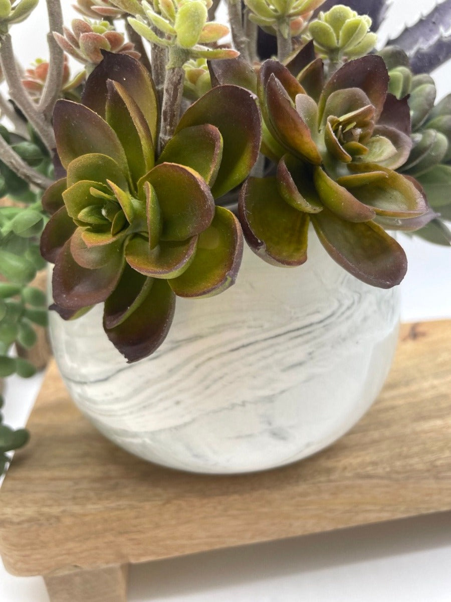 close up for Potted Faux Succulents - mix of succulents in different size and style from beige through green to purple, realistic looking set in elegant ceramic vase pot in marble-like pattern in white and gray