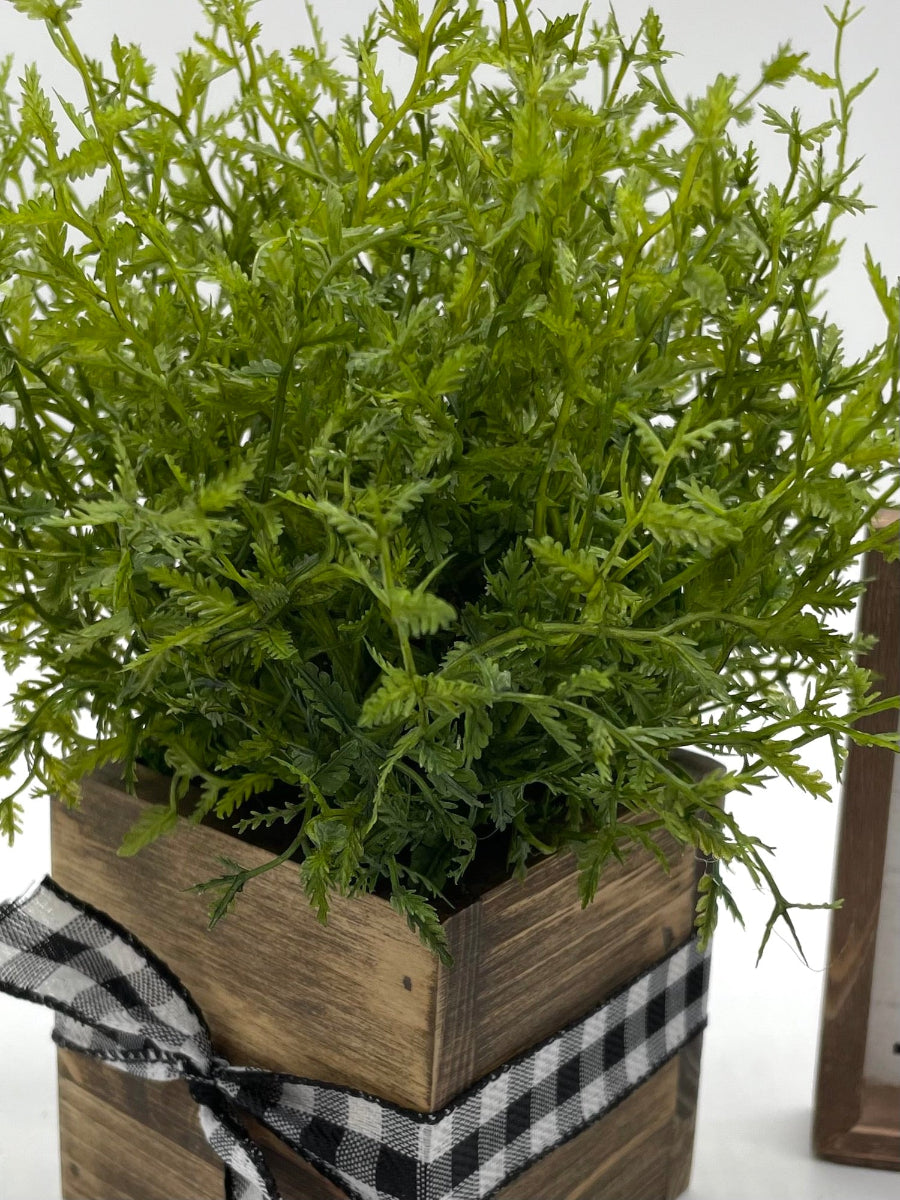 realistic faux plant fern in square wooden planter decorated with black white ribbon