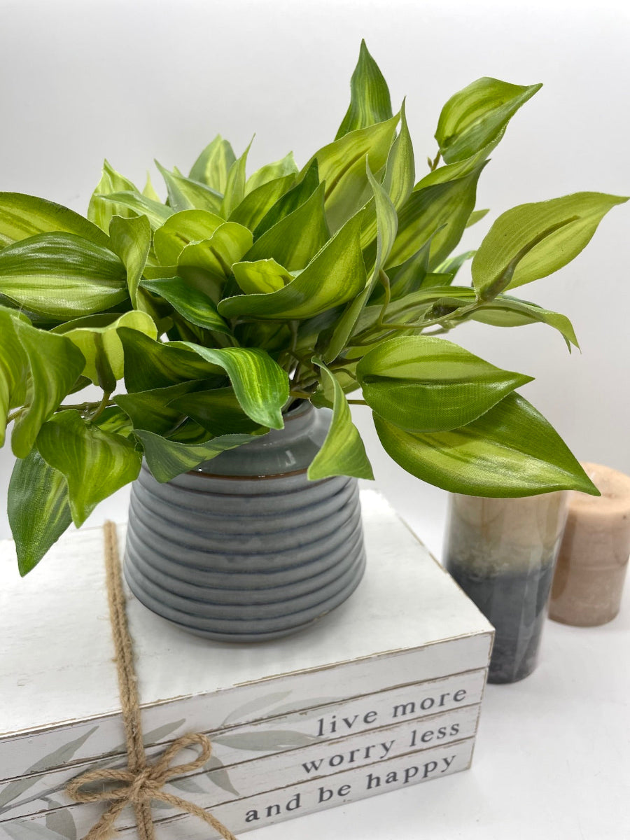vivid Green Leaf Plant in Gray ceramic Vase
