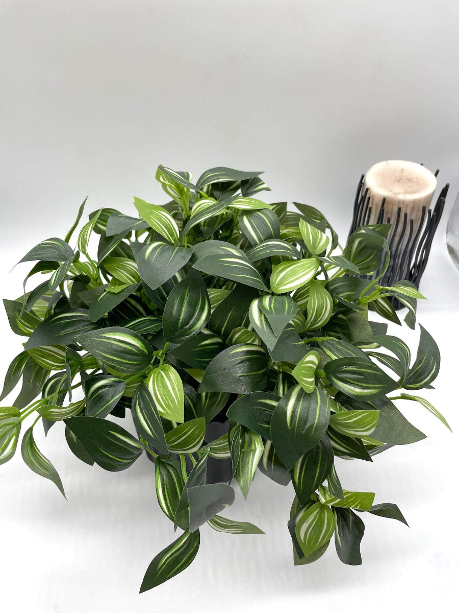 view from top Silk faux Plant with green leaves and white stripes in Black Ceramic textured Pot