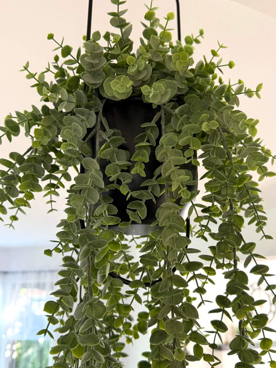 close up for hanging faux eucalyptus plant with cascading stems in modern metal black matte planter