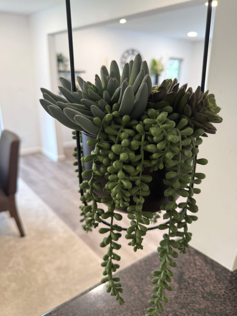 realistic looking succulents arrangement in hanging black metal planter on a chain