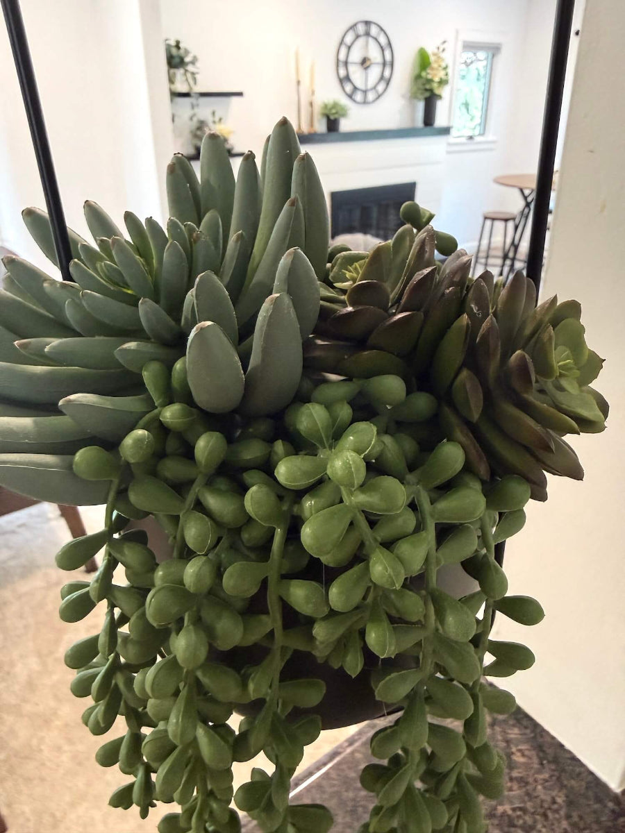 close up for realistic looking succulents arrangement in hanging black metal planter on a chain
