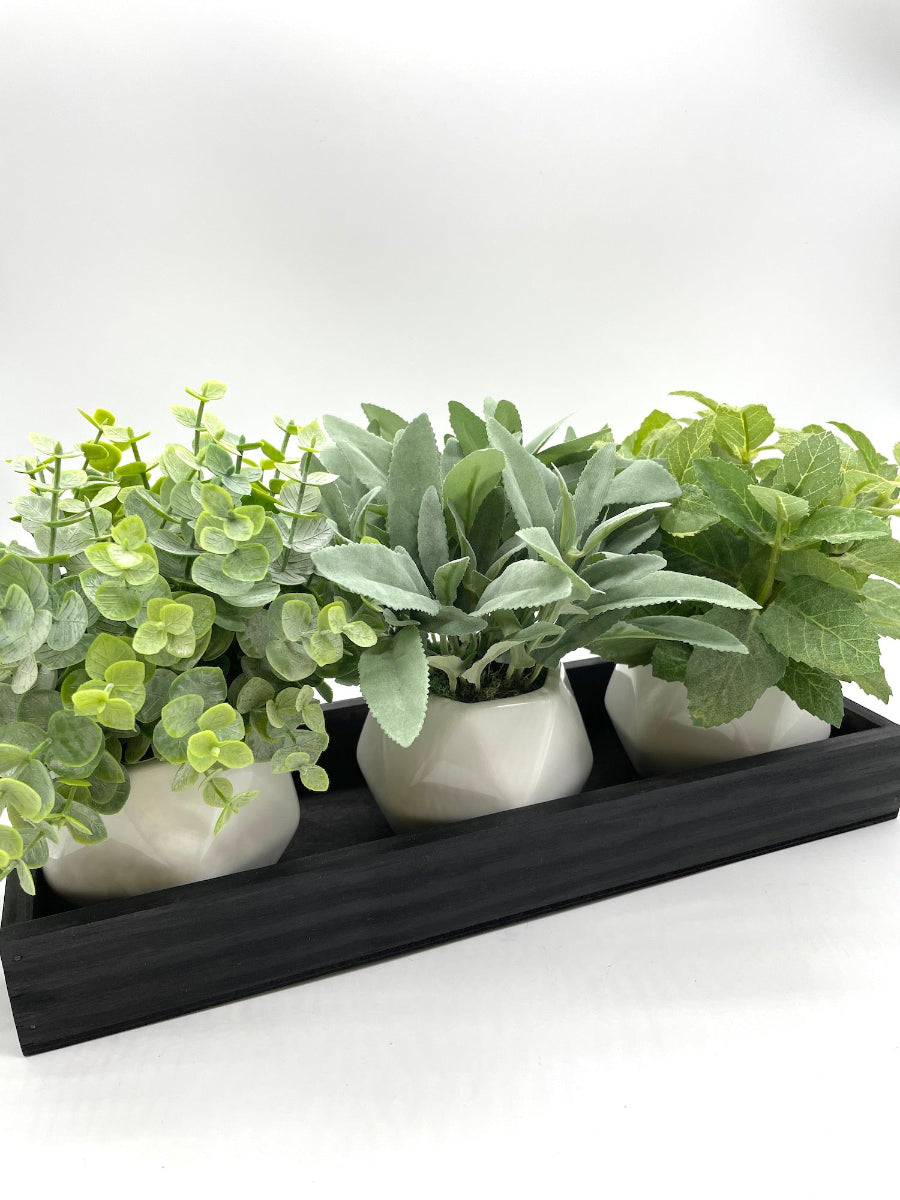 eucalyptus sage and mint arrangement trio herb arrangement in ceramic vases on wooden tray