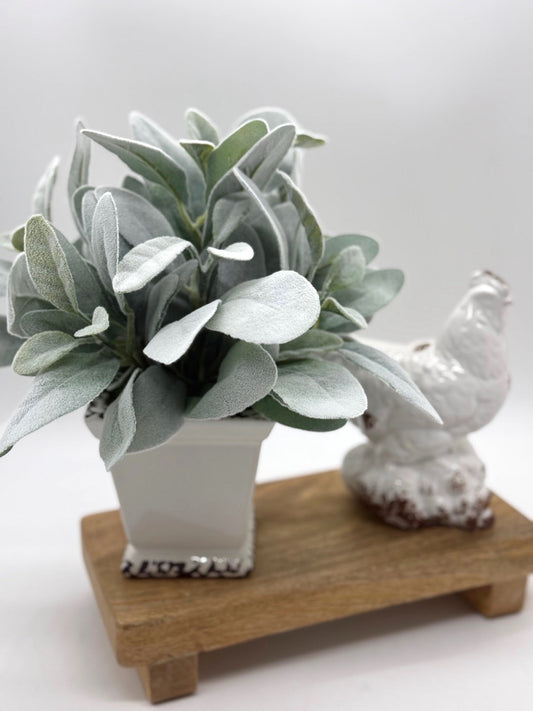 Faux Lambs Ear in White Ceramic Pot