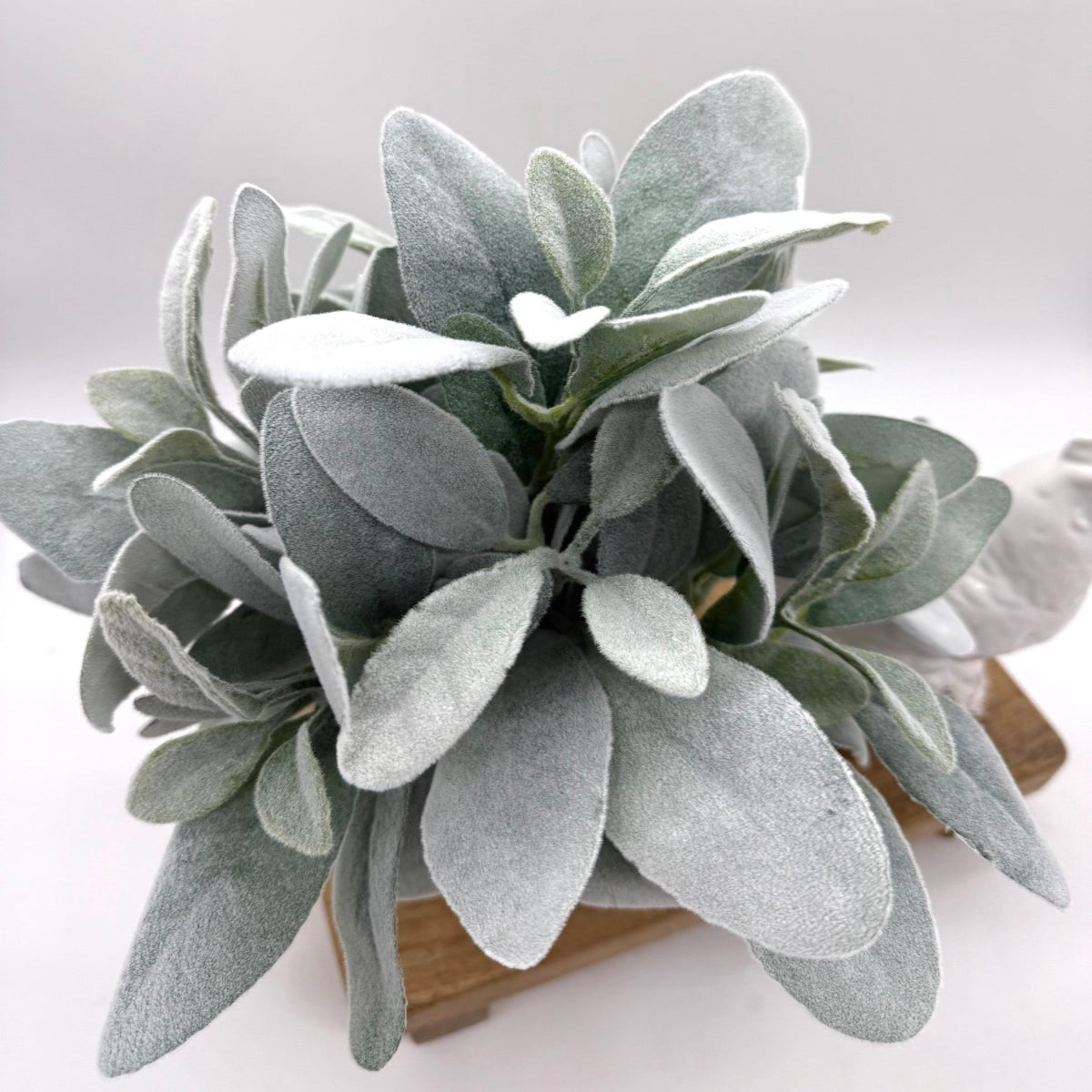 close up for realistic faux lambs ear arrangement in white square ceramic vase