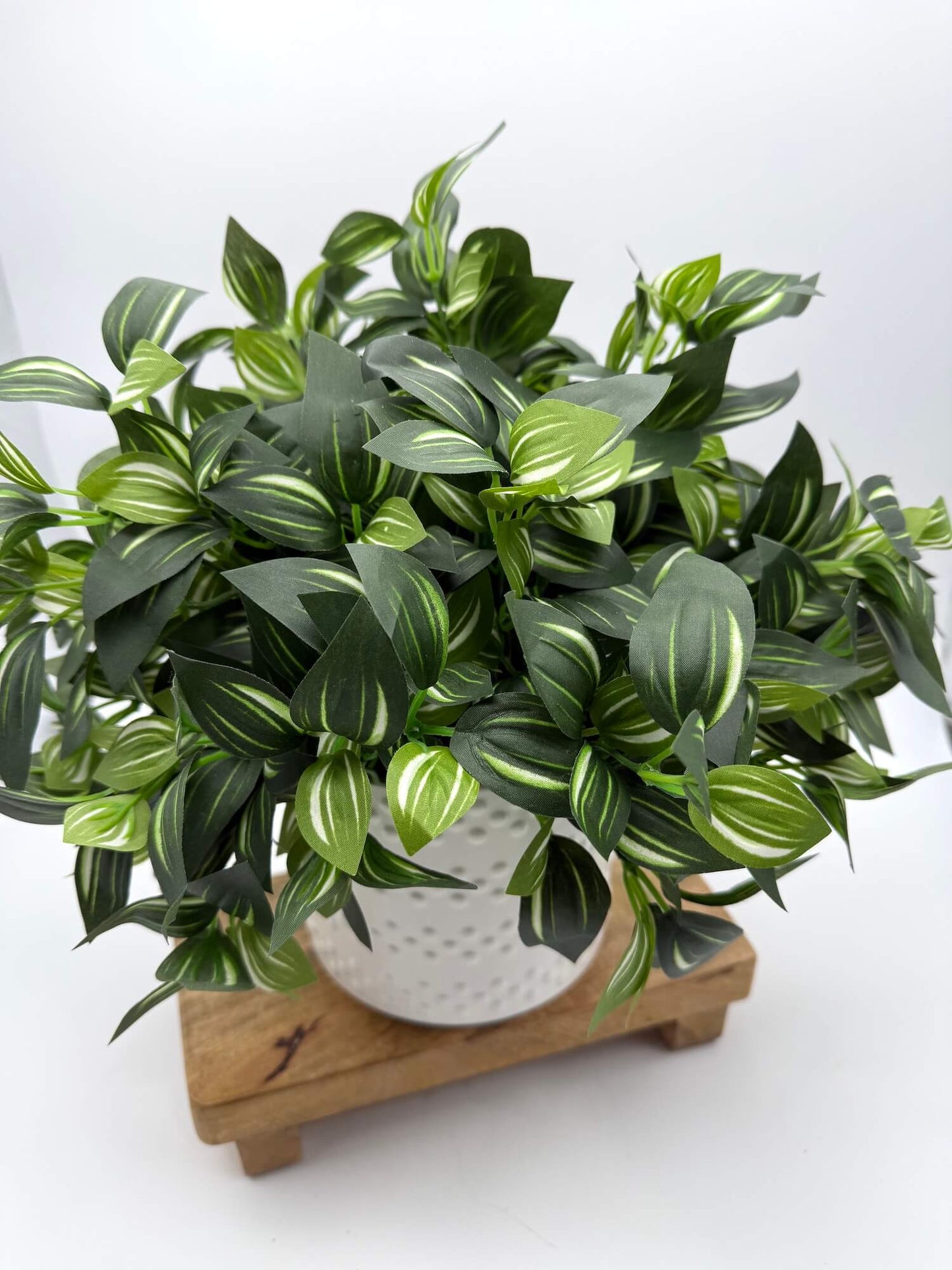 vivid green leaves with qhite stripes greenery stems in elegant white ceramic vase