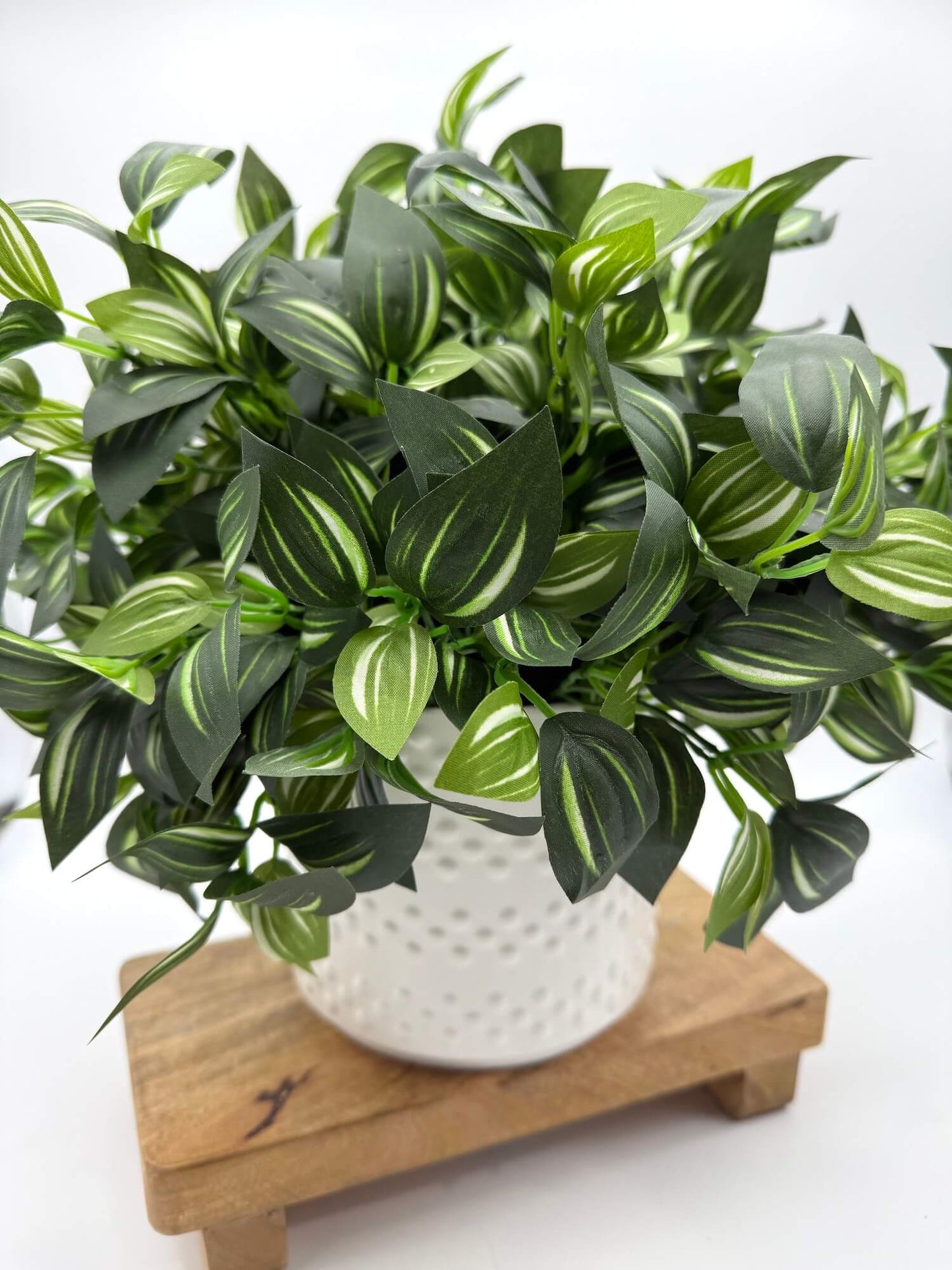 close up on vivid green stems with white stripes in white ceramic vase