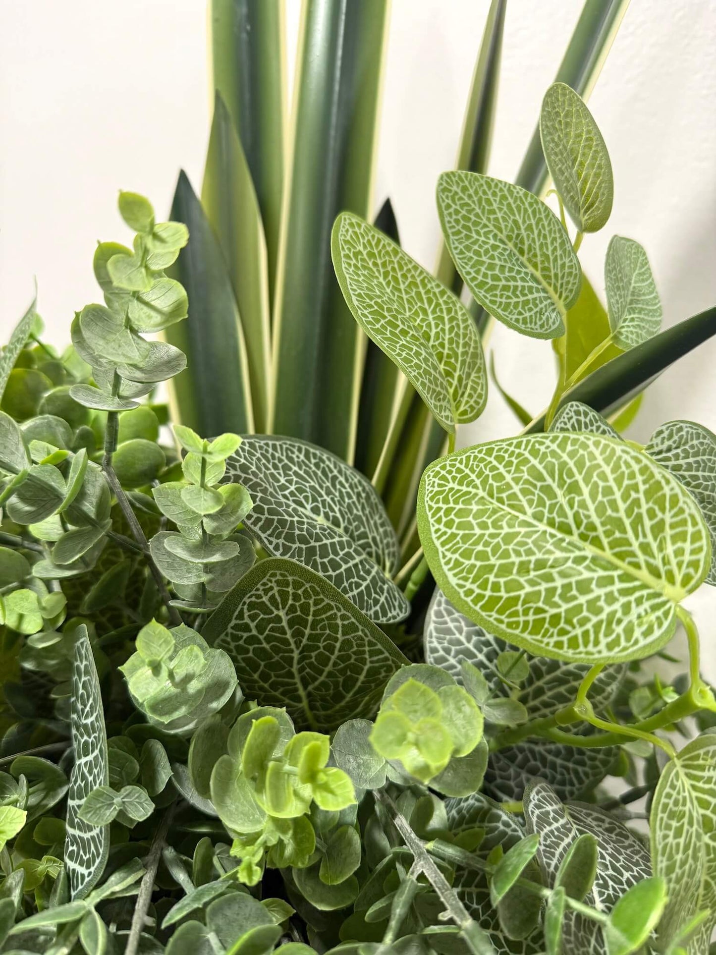 Close-up of various green plants with different leaf patterns