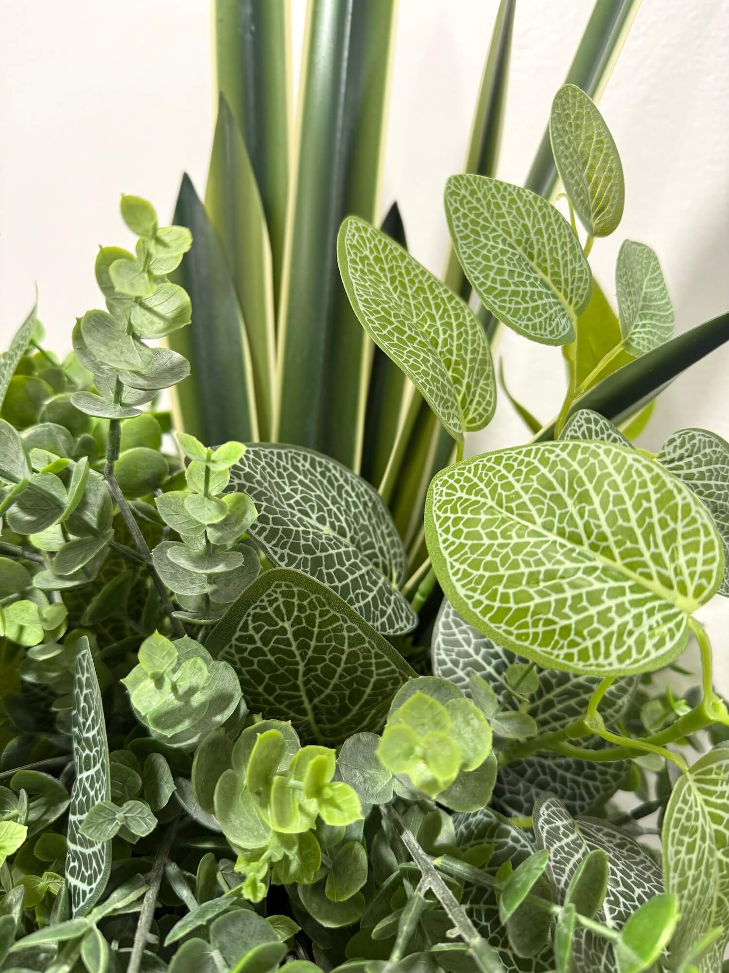 Close-up of various green plants with different leaf patterns