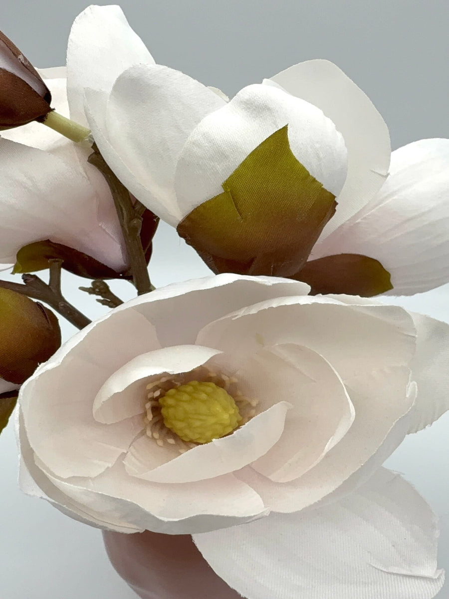 large white-ish magnolia flowers close up of the arrangeemnt in a vase