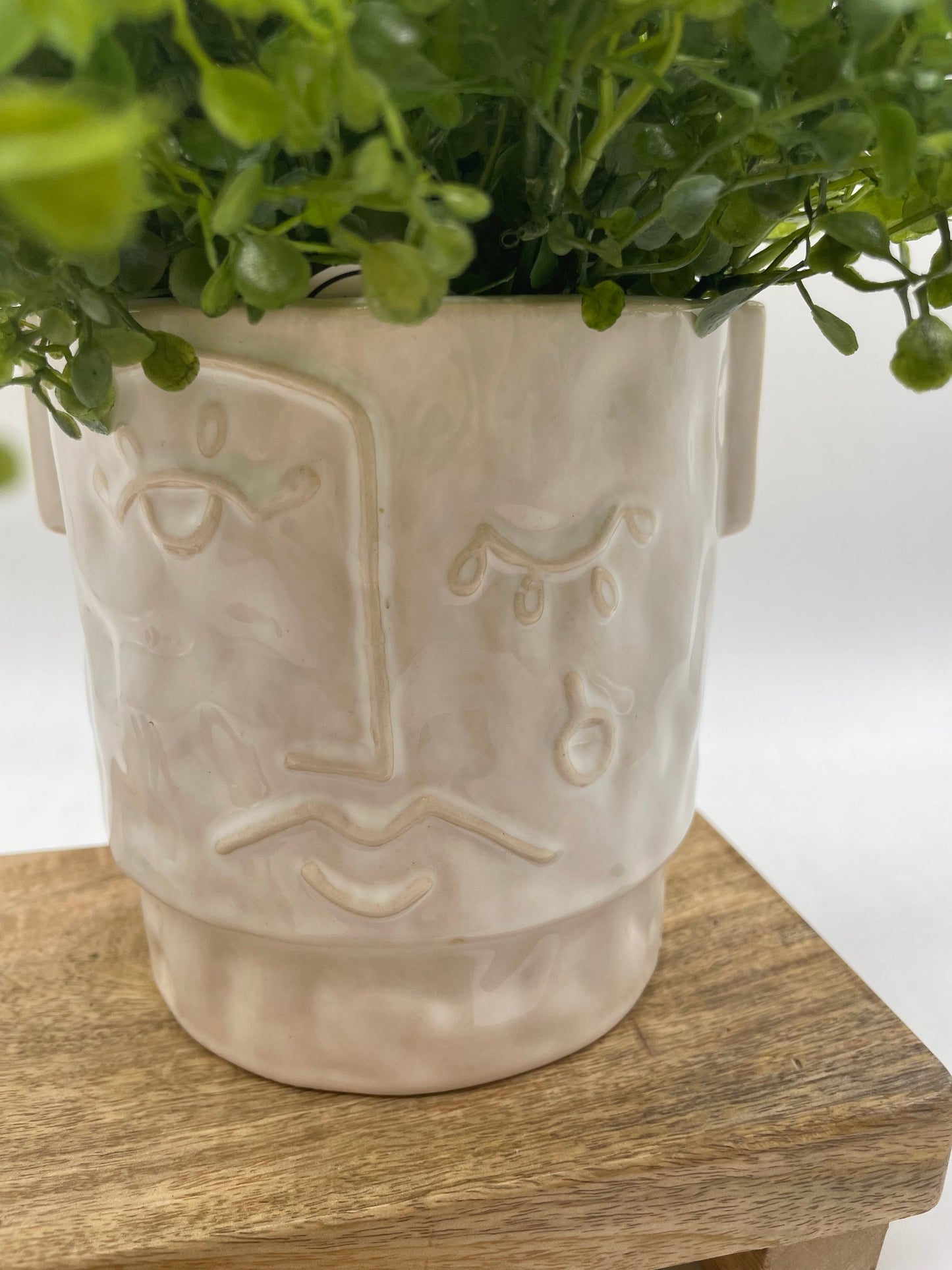 Fake Plants in Man Face Ceramic Pot, Potted Artificial Greenery for Console Table
