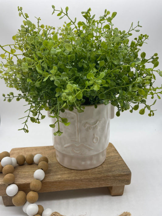 realistic Fake Plants in Man Face Ceramic Pot in white-ish color
