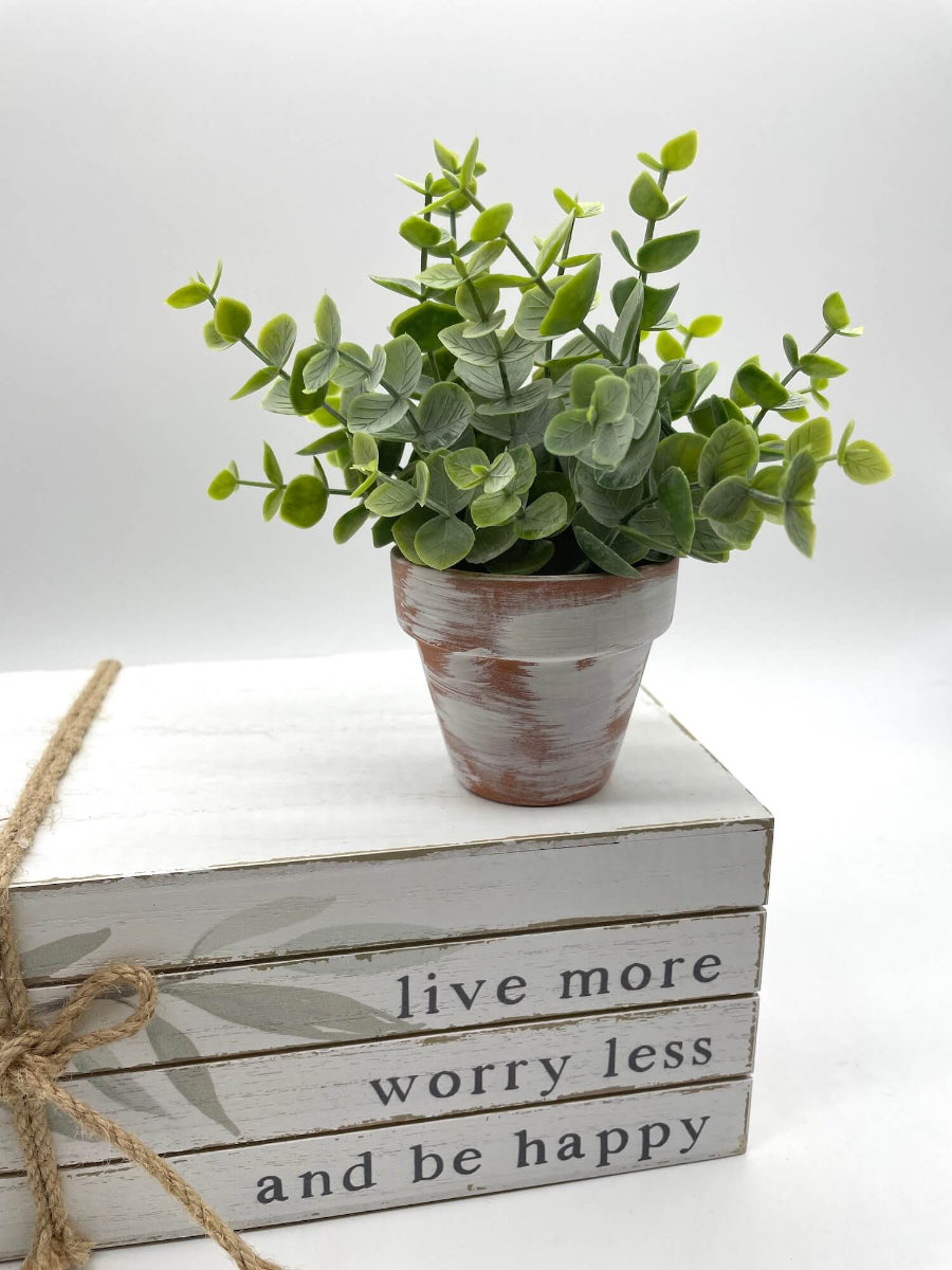 mini eucalyptus arrangement in clay pot touched with white paint