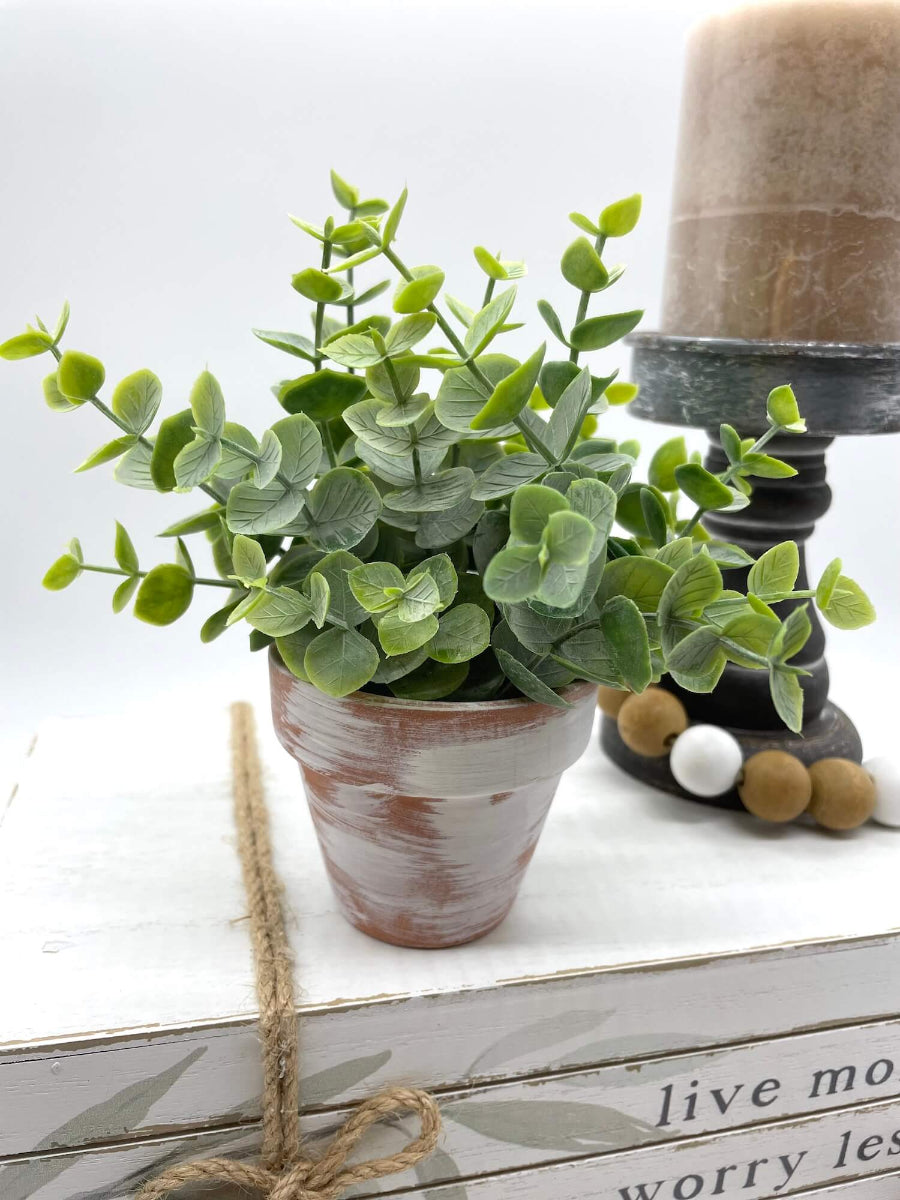 mini eucalyptus arrangement in clay pot touched with white paint