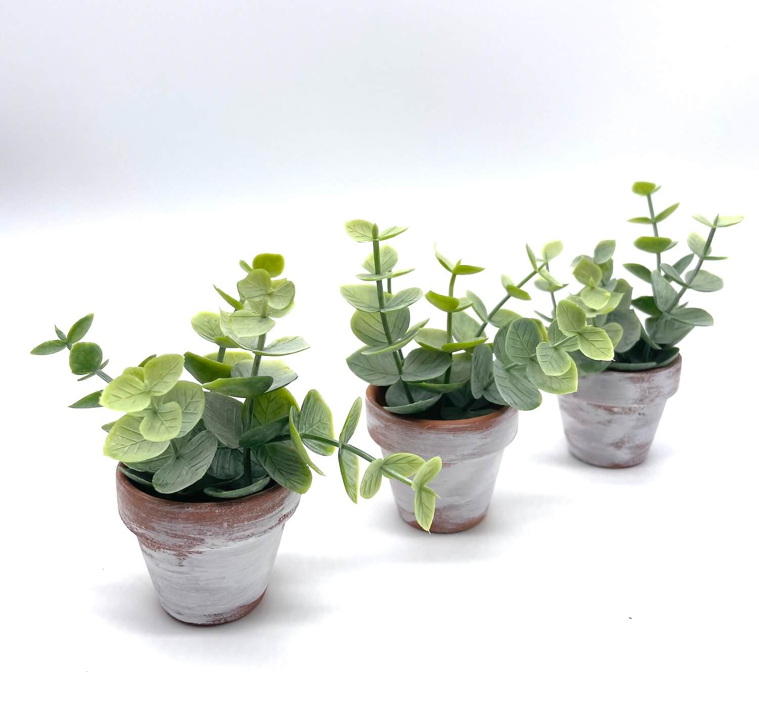 Mini Eucalyptus in clay pots touched with white paint set of 3 Tiered Tray Decor