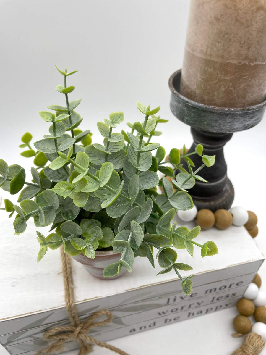 mini eucalyptus arrangement in clay pot touched with white paint