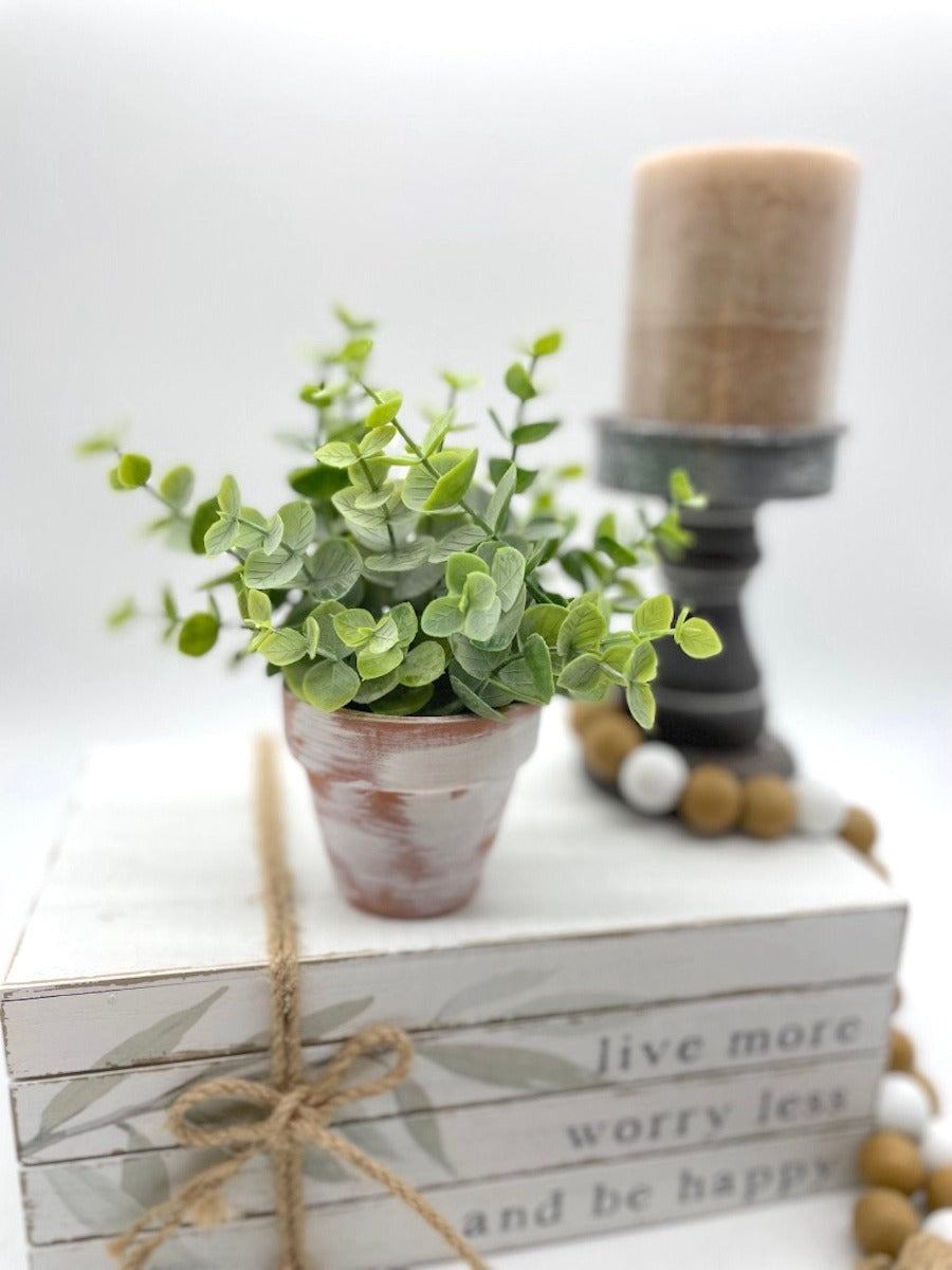 mini eucalyptus arrangement in clay pot touched with white paint