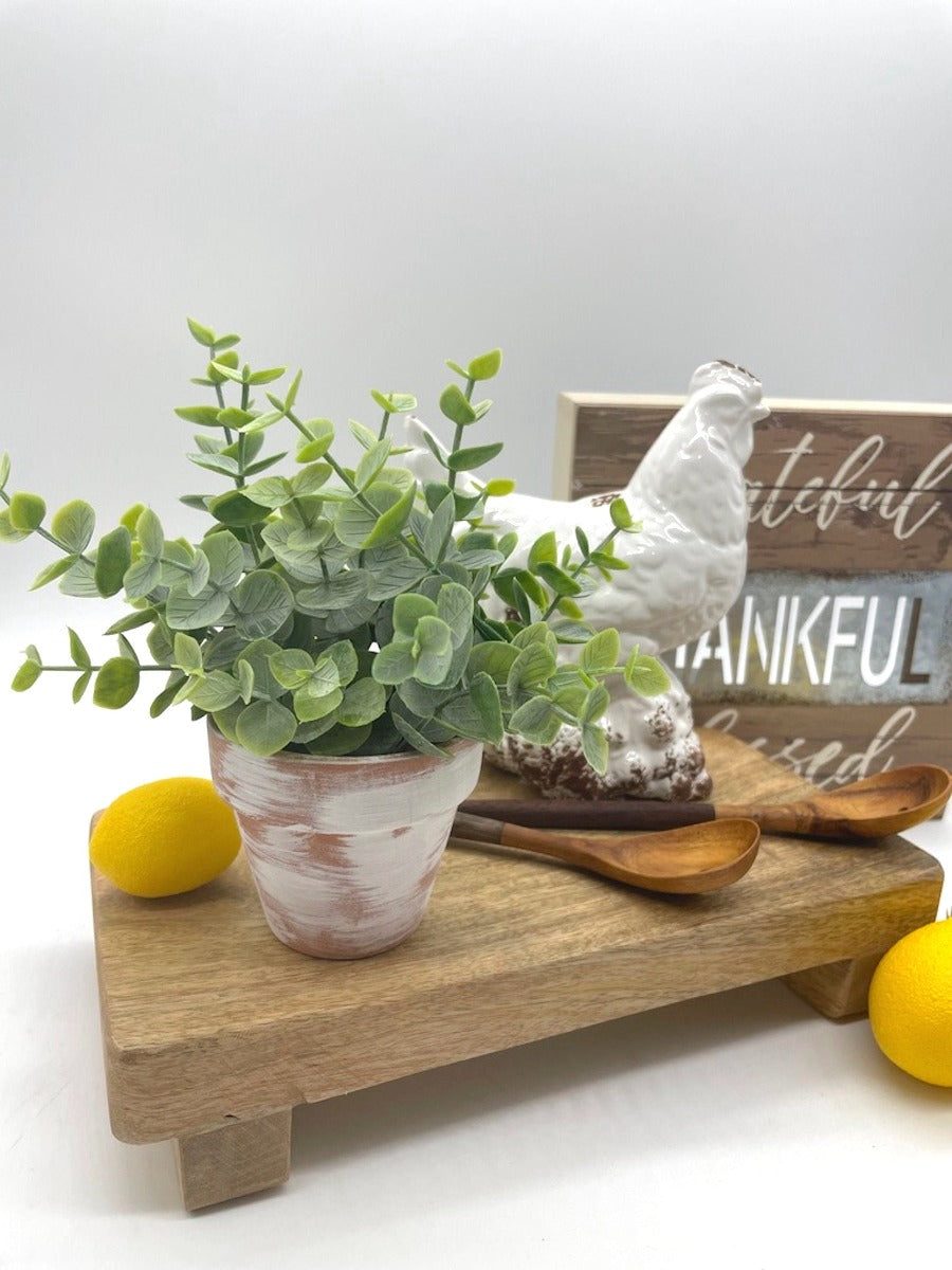 mini eucalyptus arrangement in clay pot touched with white paint