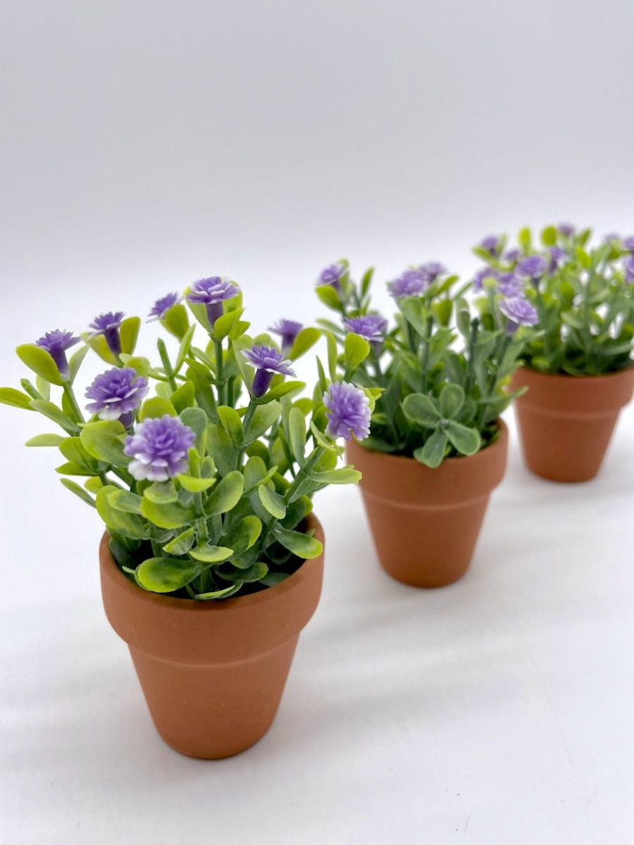 Mini Floral Arrangements Set of 3 clay pots with purple wildflowers