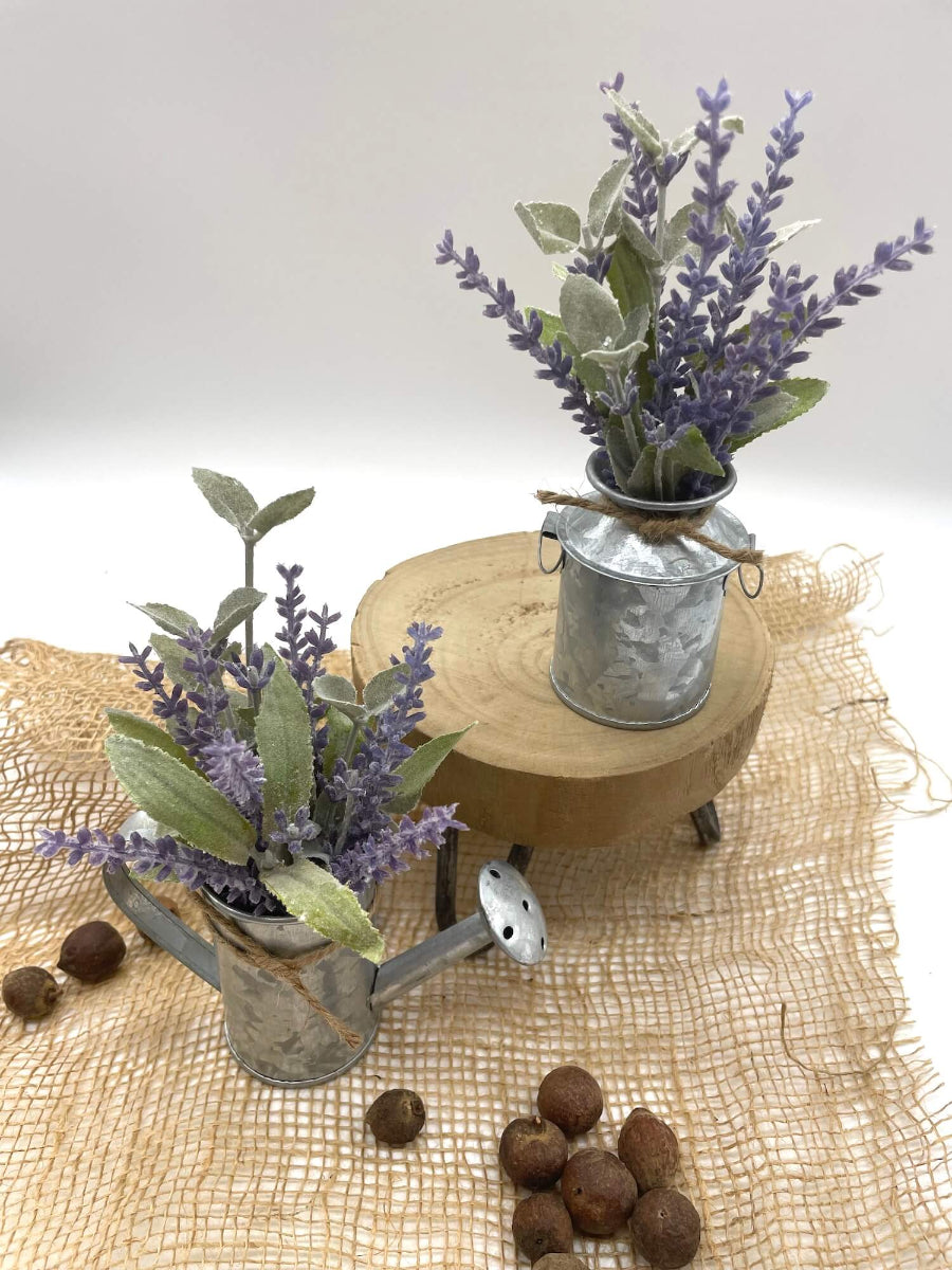 Mini Lavender Plant Arrangement  Set of 2 in metal watering can and vase