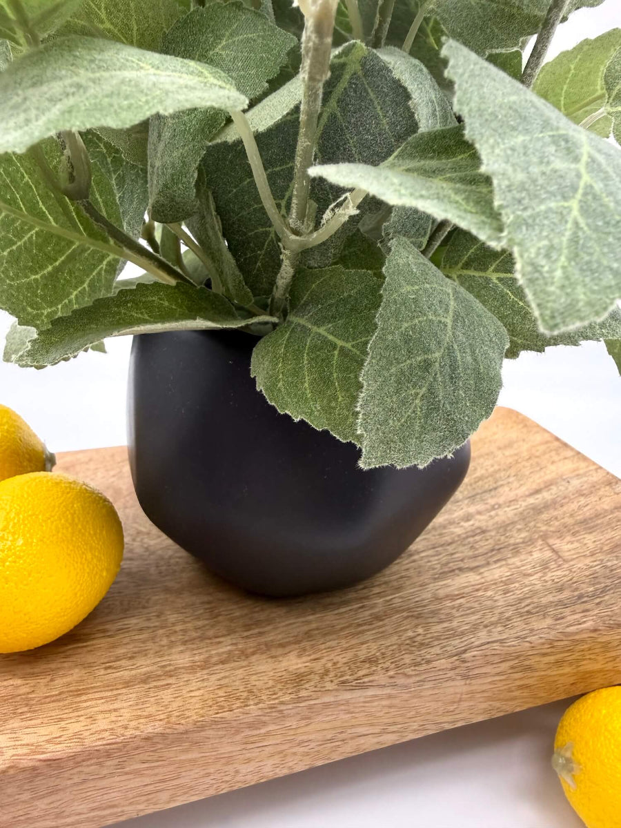 close up for pot of realistic looking faux mint plant in black matte ceramic po vase of geometric shape set o kitchen counter