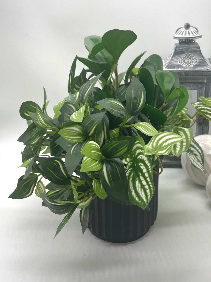 mix of variety of faux plants with green and green-white leaves in black ceramic pot