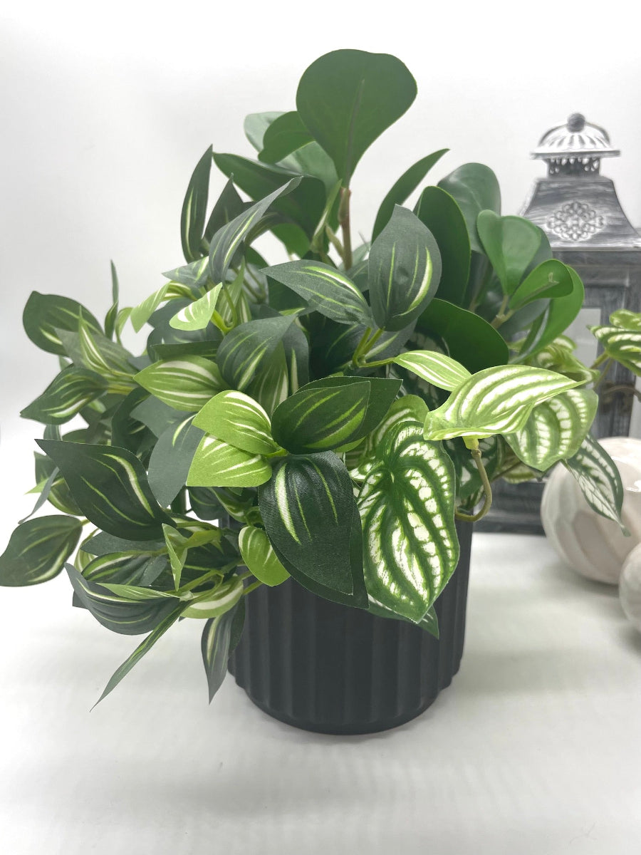 mix of variety of faux plants with green and green-white leaves in black ceramic pot
