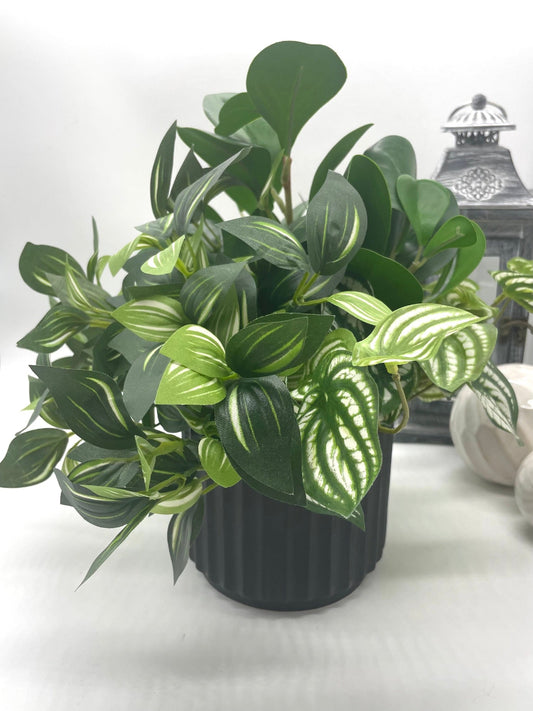 mix of variety of faux plants with green and green-white leaves in black ceramic pot
