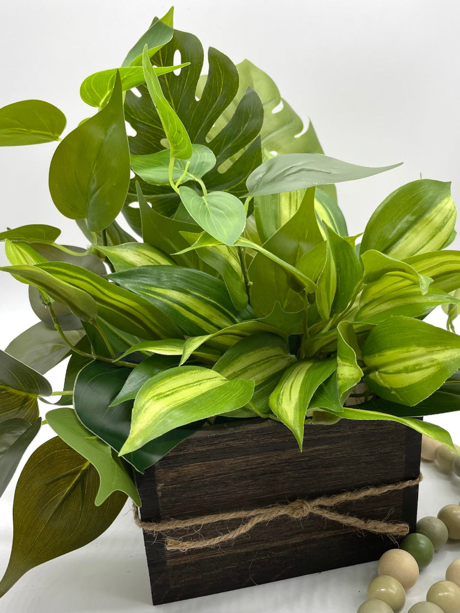 mix of plants in vivid green shades and different shapes in wooden planter stained in expresso color medium size