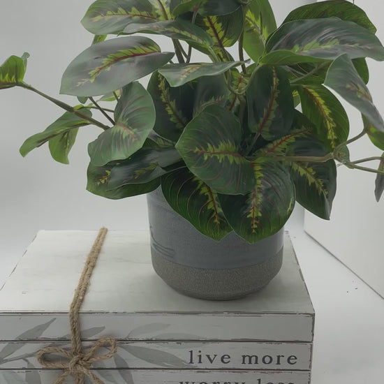 video for Green Fake Plants in Gray Ceramic Pot, High Quality Artificial Plant Home Decor, Faux Greenery for Bathroom, Realistic Silk Plant for Office