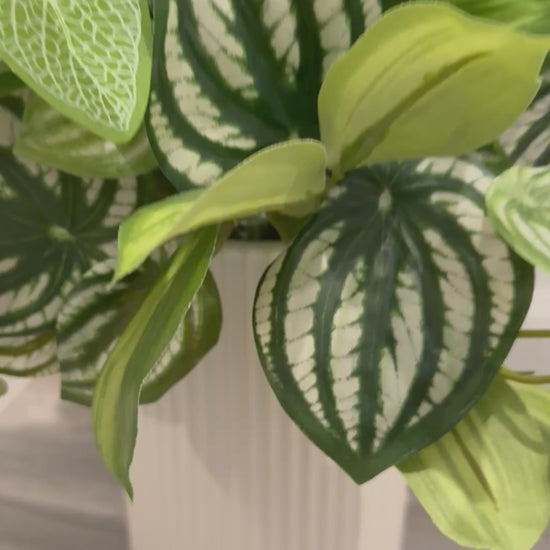 video of tall faux plant arrangement in white ceramic vase, created with 3 types of plants - green with white stripes, perfect for floor or counters