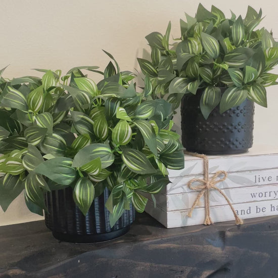 video Fake Plants Set in Black Ceramic Pot, Faux Greenery, Artificial Potted Houseplant