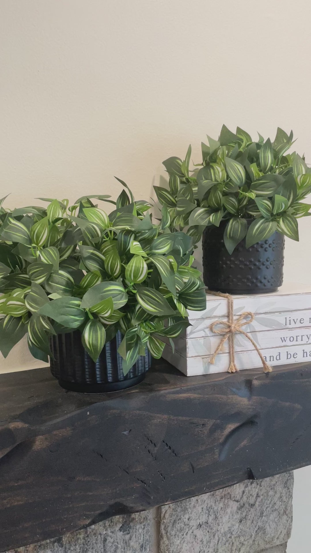 video Fake Plants Set in Black Ceramic Pot, Faux Greenery, Artificial Potted Houseplant