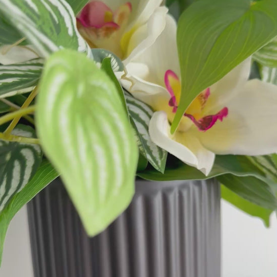 video of realistic looking elegant white orchid arrangement with greenery and decorative foliage in black textured ceramic vase