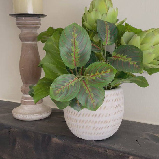 video for Fake Plants Home Decor, Artificial Plants in Ceramic Pot, Rare Houseplant for Kitchen Counter, Silk Greenery for Living Room & Bathroom, by AllSeasonsHouseDecor