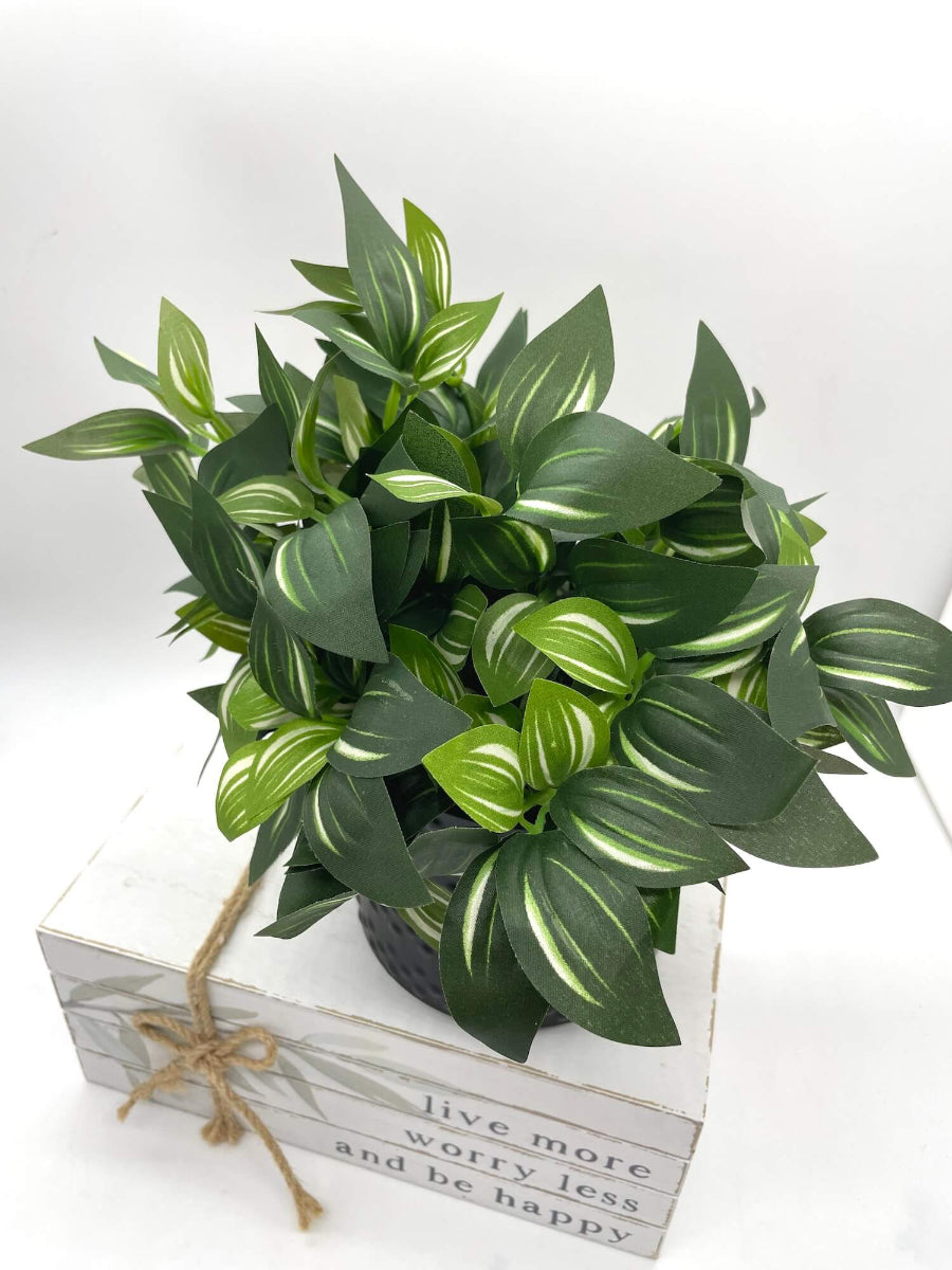 view from top of realistic lush faux plant with green leaves with white stripes