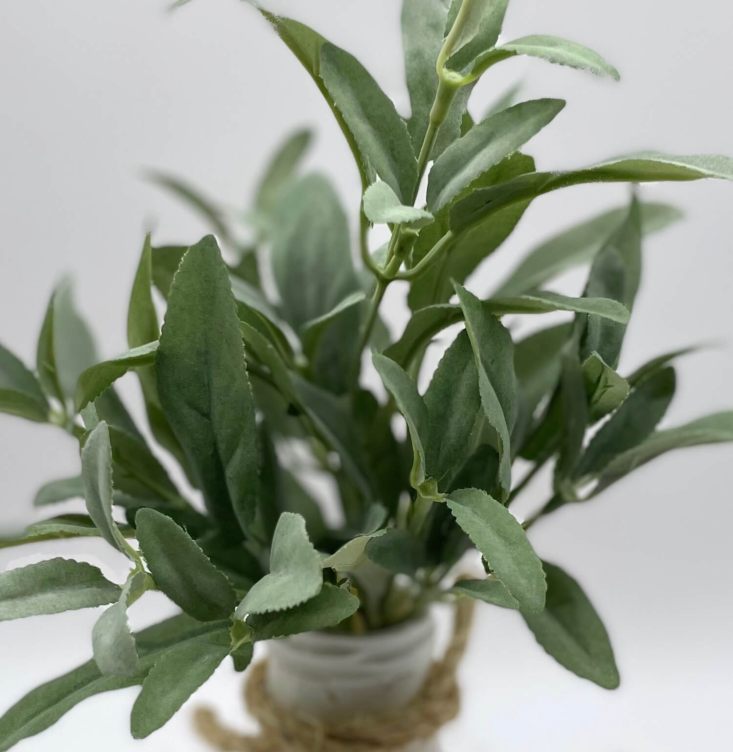 view from top, close up for realistic looking faux sage plant arrangement in Dairy bottle vase painted in white and distressed and decorated with rope