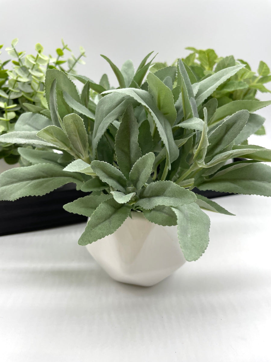 sage arrangement trio herb arrangement in ceramic vases on wooden tray