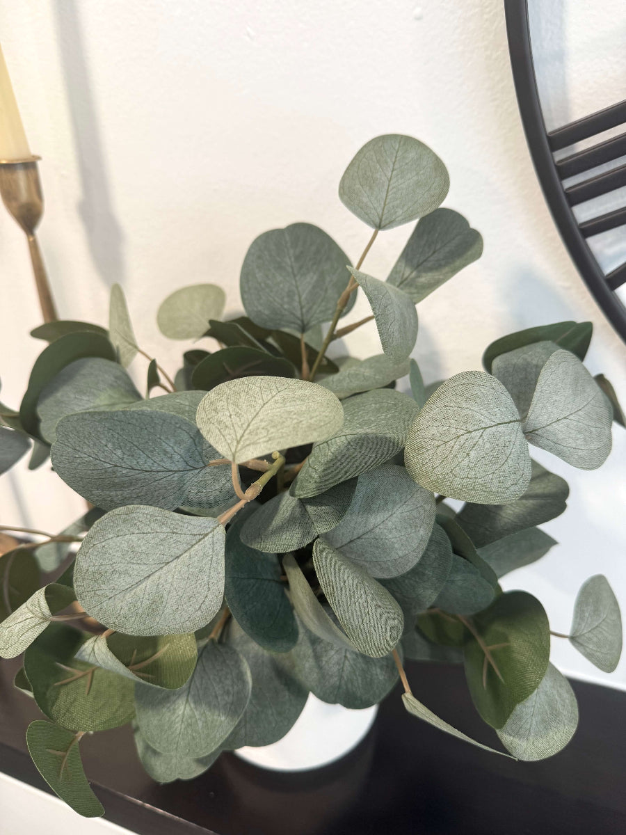 close up for realistic elegant silver dollar eucalyptus arrangement in white matte ceramic textured vase