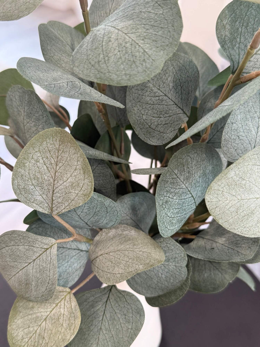 close up for elegant faux silver dollar eucalyptus in white ceramic vase