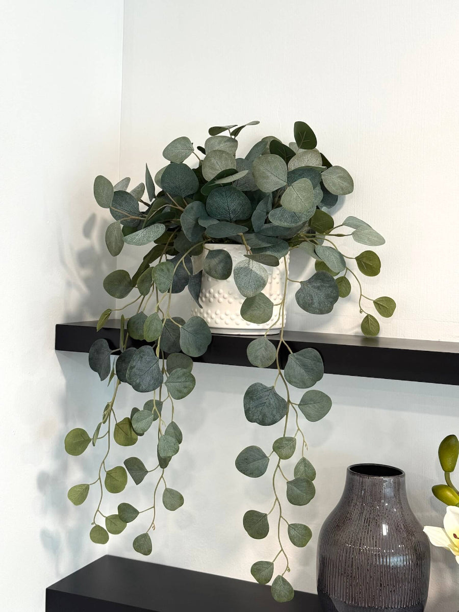 realistic looking silver dollar eucalyptus trailing in white textured ceramic pot