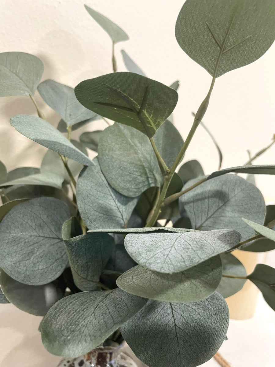 close up for Silver Dollar Eucalyptus Stems in ceramic Vase in gray and brown